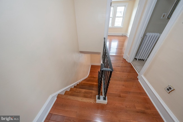 stairs with radiator and wood-type flooring