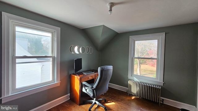 home office featuring dark hardwood / wood-style flooring, lofted ceiling, and radiator