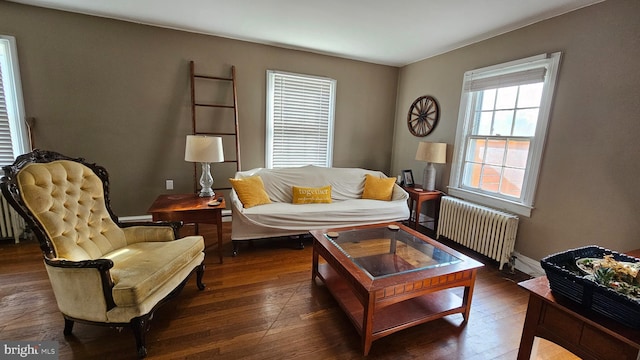 living room featuring dark hardwood / wood-style flooring and radiator