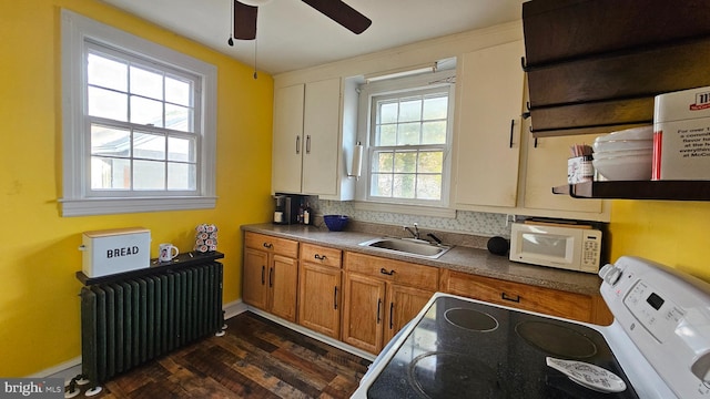 kitchen featuring radiator, sink, a healthy amount of sunlight, dark hardwood / wood-style floors, and white appliances