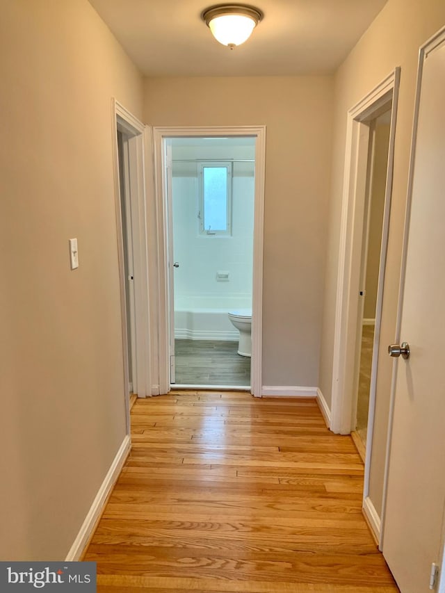 corridor featuring light hardwood / wood-style floors