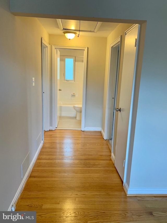 hallway featuring light hardwood / wood-style floors