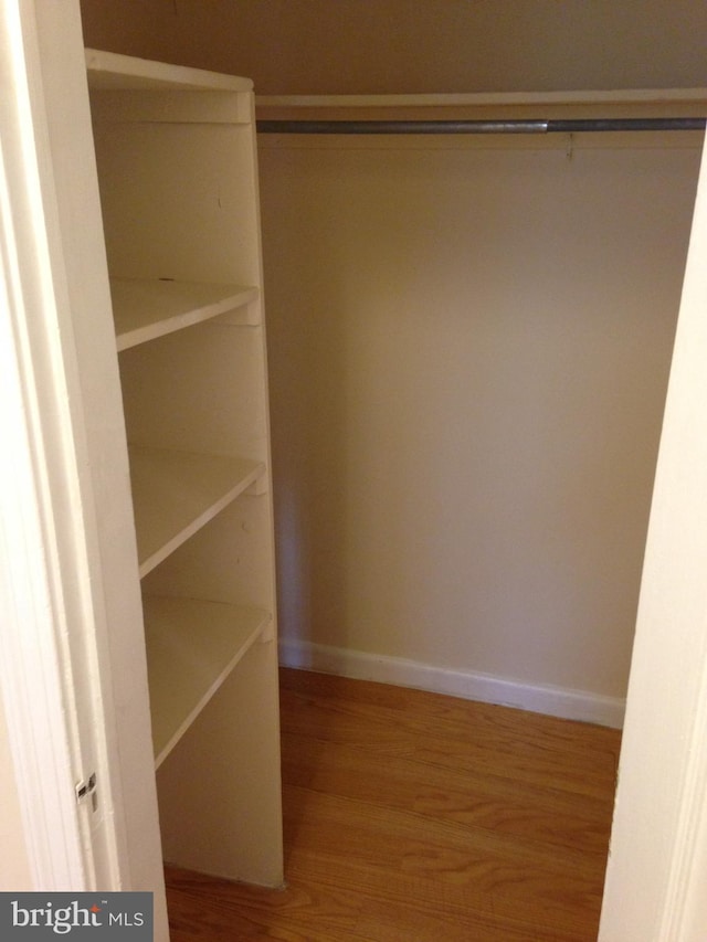 spacious closet with hardwood / wood-style floors