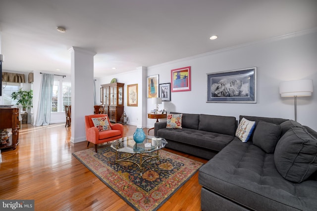 living room featuring crown molding and light hardwood / wood-style floors