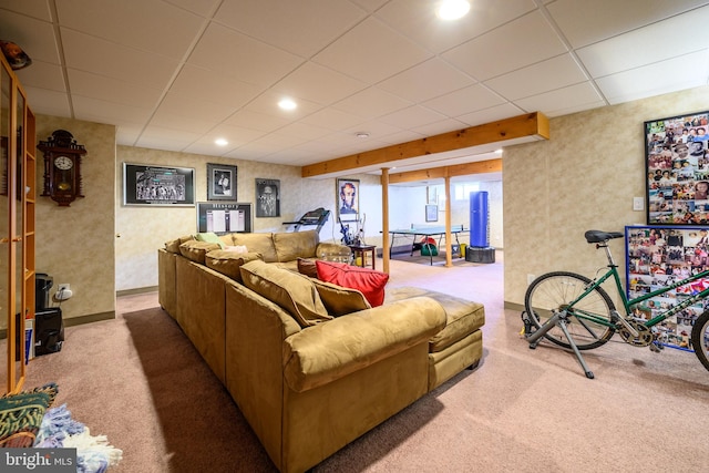 living room with a drop ceiling and carpet floors