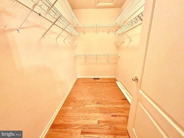 spacious closet with hardwood / wood-style floors and a baseboard radiator