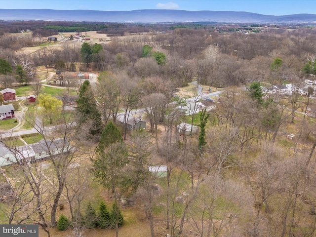 9732 Garis Shop Rd, Hagerstown, MD 21740 - aerial overview of property's location with a mountain backdrop