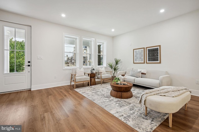 living room with wood-type flooring