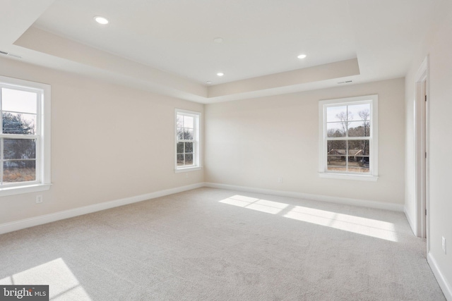 unfurnished room featuring light colored carpet and a raised ceiling