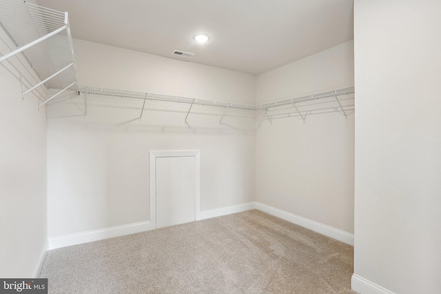 walk in closet with carpet