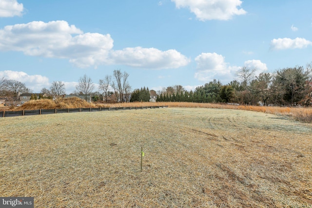 view of yard with a rural view