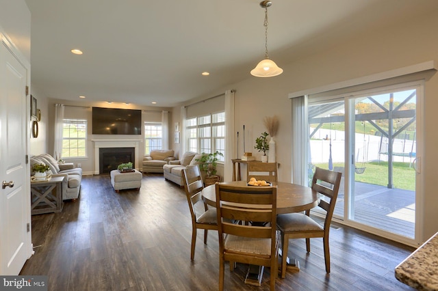 dining area with dark wood-type flooring and plenty of natural light