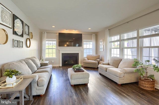 living room featuring dark hardwood / wood-style flooring