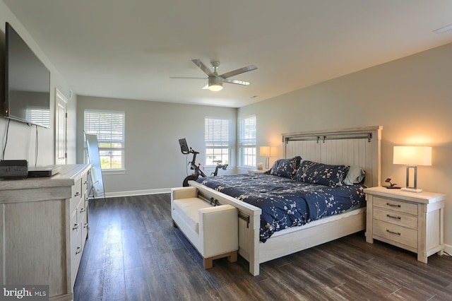 bedroom featuring multiple windows, dark hardwood / wood-style floors, and ceiling fan