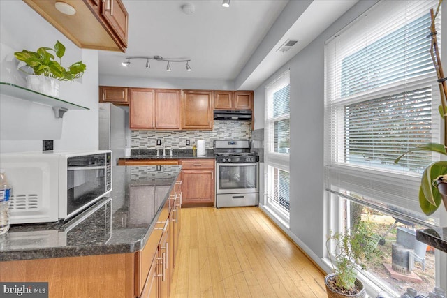 kitchen with sink, light hardwood / wood-style flooring, decorative backsplash, dark stone countertops, and stainless steel appliances