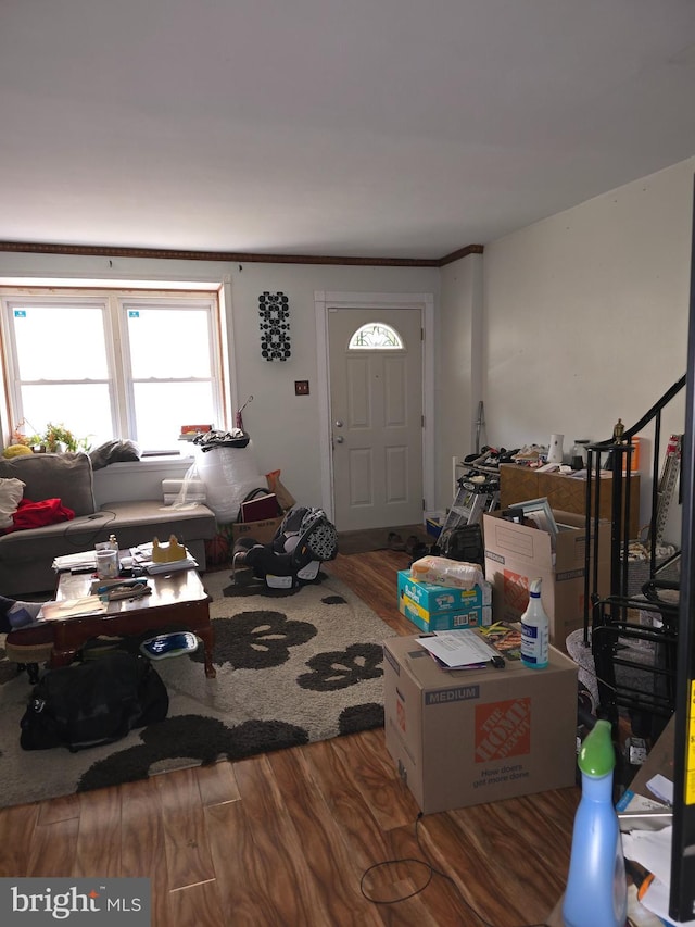 living room featuring hardwood / wood-style flooring