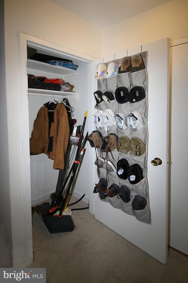 walk in closet with carpet