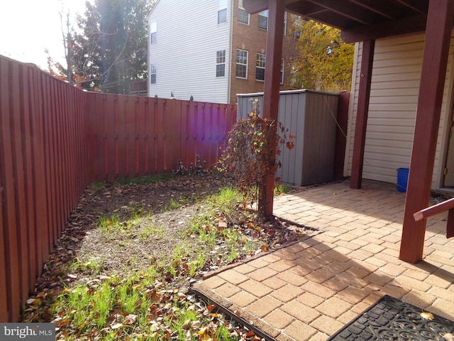 view of yard featuring a patio area and a shed