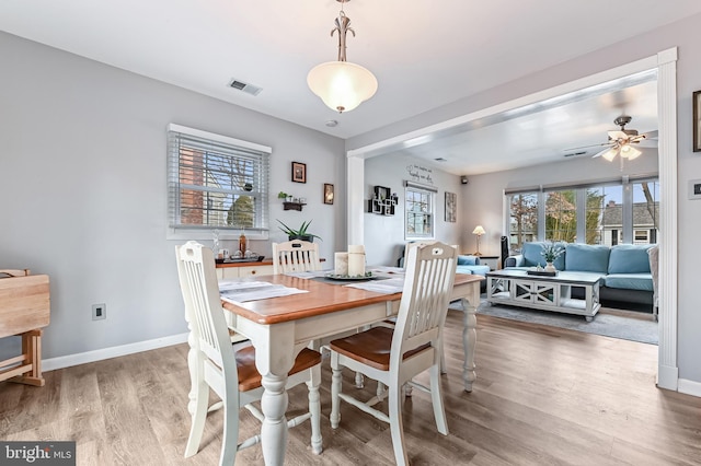 dining room with hardwood / wood-style floors, ceiling fan, and a healthy amount of sunlight