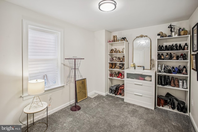 spacious closet featuring carpet floors