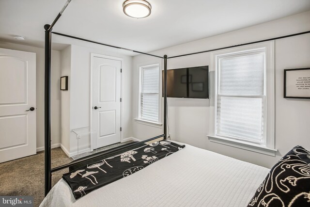 view of carpeted bedroom