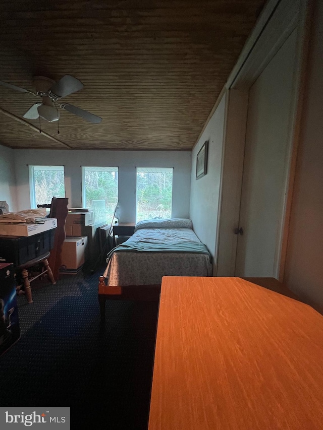 bedroom featuring carpet floors, multiple windows, and ceiling fan