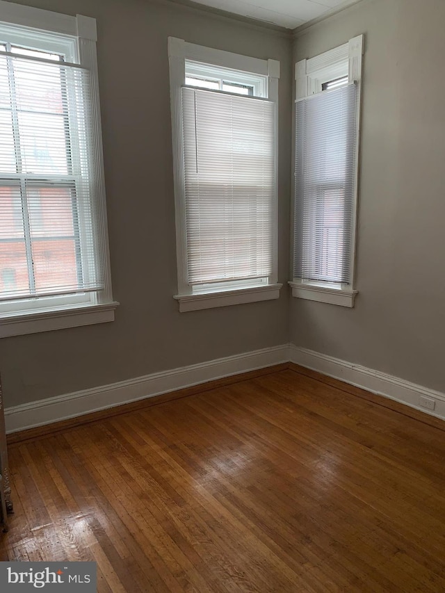 spare room featuring wood-type flooring and crown molding