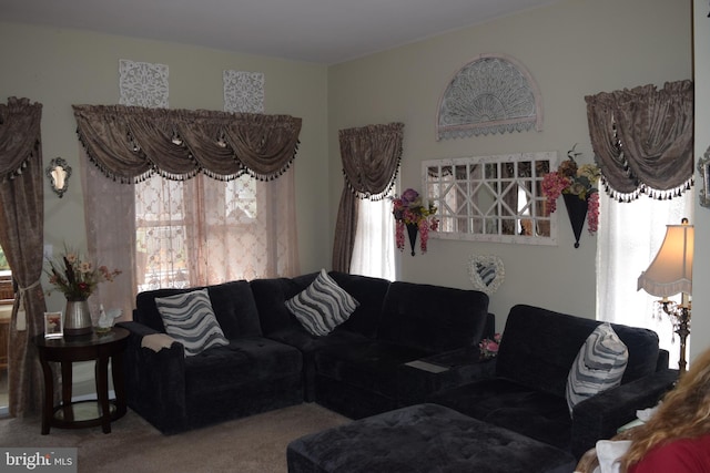 living room with carpet flooring