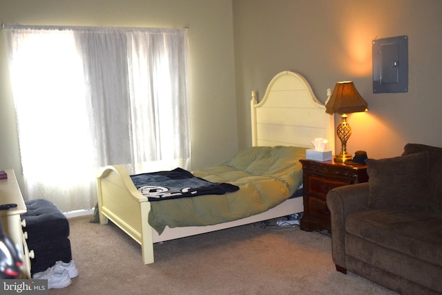 carpeted bedroom featuring multiple windows and electric panel