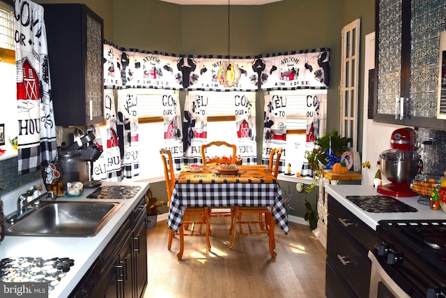 kitchen with hardwood / wood-style flooring and sink