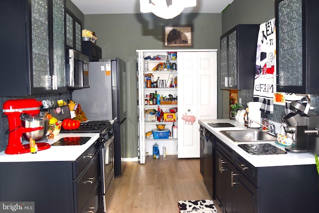 kitchen with sink, wood-type flooring, and stainless steel appliances