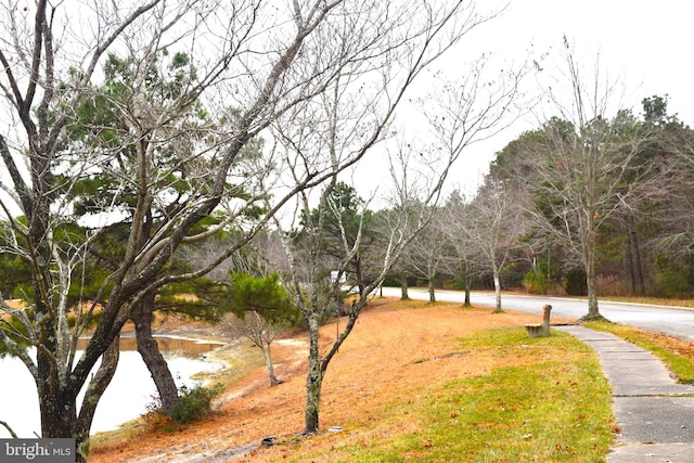 view of home's community featuring a water view