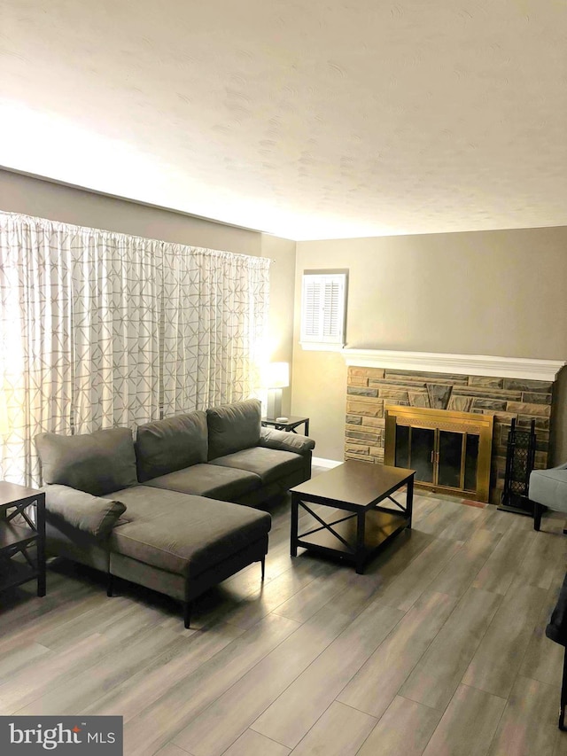 living room featuring wood-type flooring and a fireplace