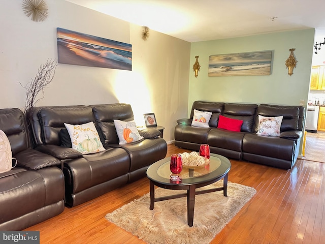 living room featuring hardwood / wood-style flooring