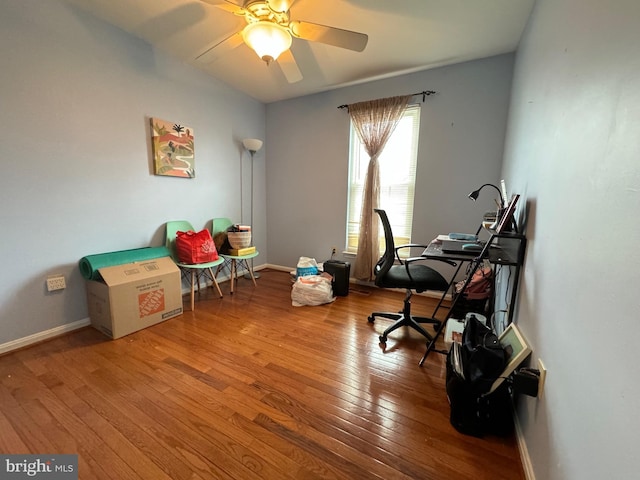 office featuring ceiling fan and hardwood / wood-style floors