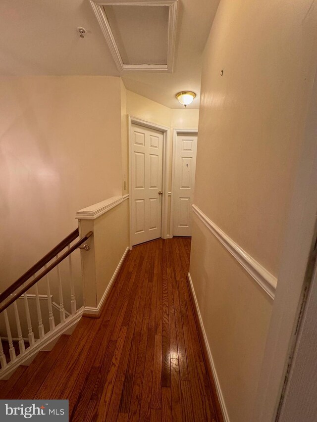 hall featuring dark hardwood / wood-style flooring