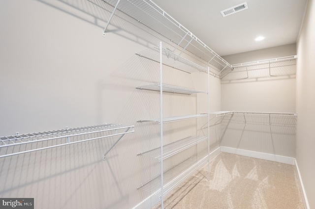 3104 Paper Mill Rd, Phoenix, MD 21131 - spacious closet with carpet floors