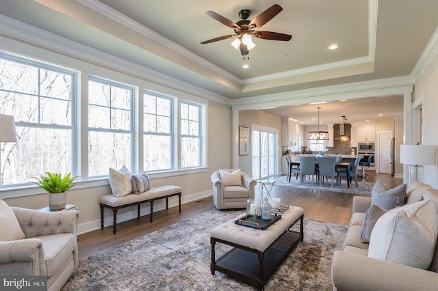 living room featuring crown molding, hardwood / wood-style floors, a tray ceiling, and ceiling fan