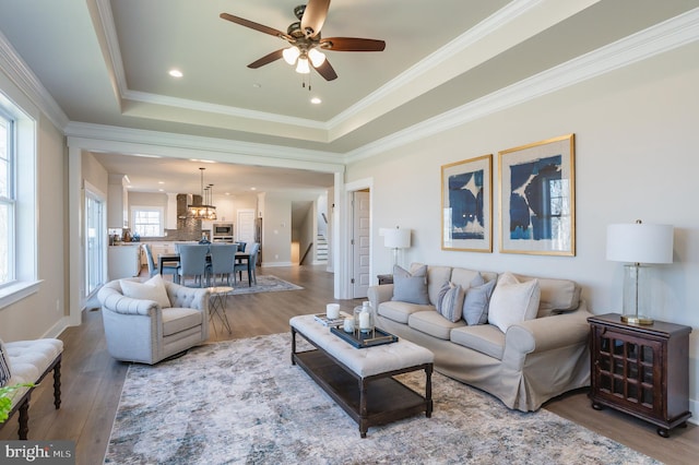 living room with crown molding, ceiling fan, wood-type flooring, and a raised ceiling