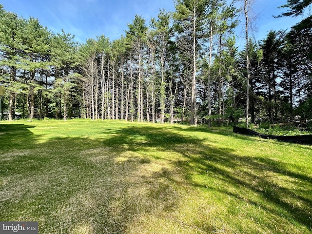 3104 Paper Mill Rd, Phoenix, MD 21131 - view of grassy yard featuring a view of trees