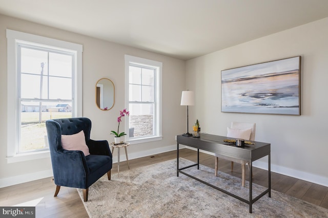 office space featuring light hardwood / wood-style flooring and a wealth of natural light