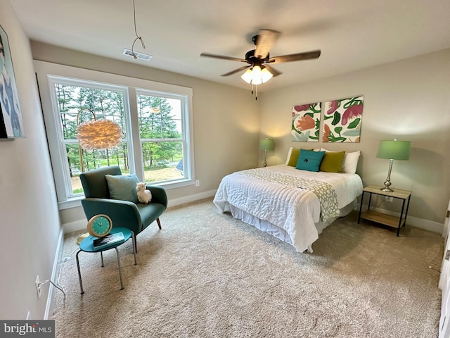 3104 Paper Mill Rd, Phoenix, MD 21131 - bedroom with multiple windows, baseboards, and carpet flooring