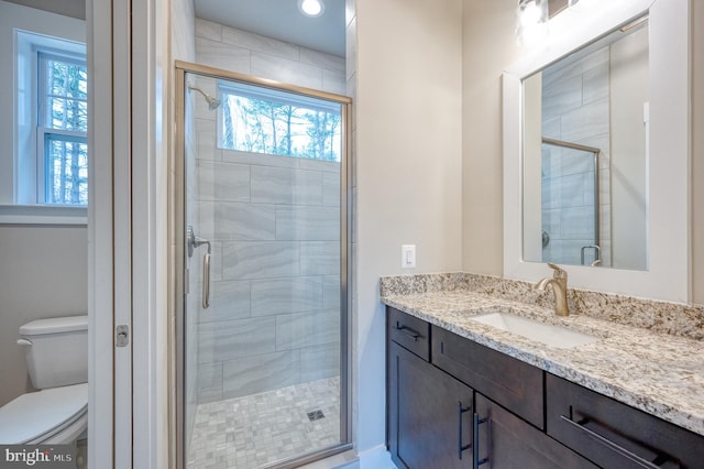 bathroom with vanity, an enclosed shower, and toilet