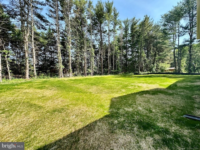 3104 Paper Mill Rd, Phoenix, MD 21131 - view of green lawn