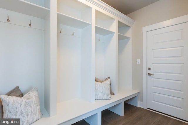 mudroom with dark hardwood / wood-style floors