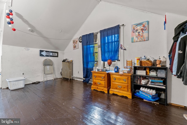 misc room with dark wood-type flooring and lofted ceiling