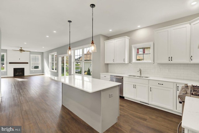 kitchen featuring dark wood-type flooring, sink, white cabinets, and stainless steel dishwasher