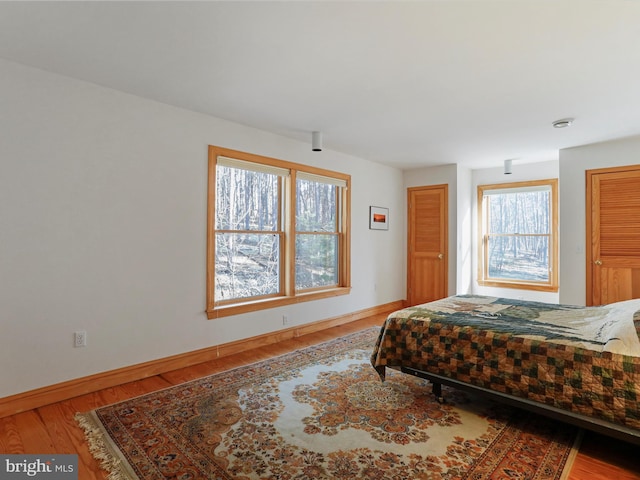 bedroom featuring wood-type flooring