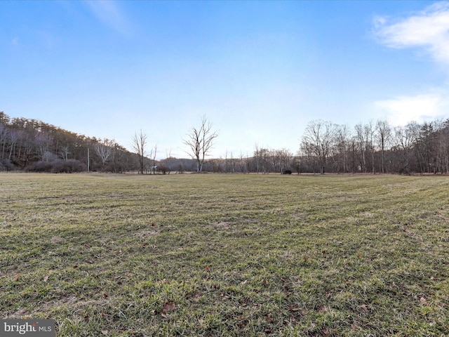 view of yard with a rural view