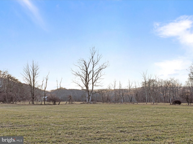 view of yard with a rural view